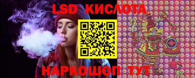 ПСИЛОЦИБИНОВЫЕ ГРИБЫ Гусев