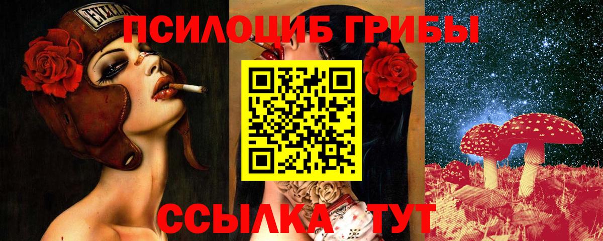 Галлюциногенные грибы прущие грибы  Вход с VPN  Реж  Галлюциногенные грибы Psilocybine cubensis 